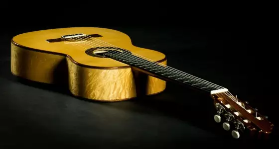 قیمت گیتار آدمیرا paloma